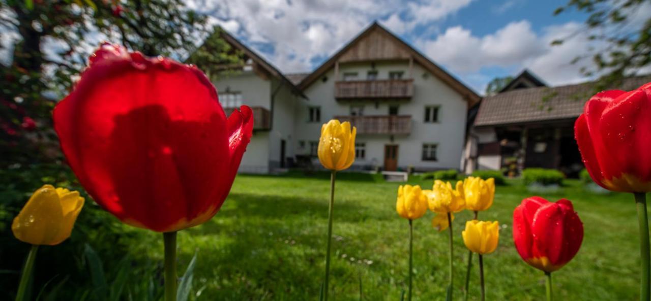 Apartma In Sobe Pr'Objan Bohinji-tó Kültér fotó